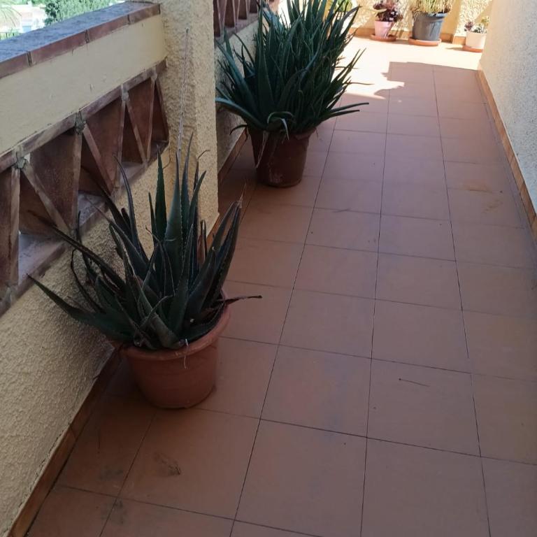 Apartemento Monika Monte Pedrera C 1 TOP Aussicht - Apartamento de 2 dormitorios - 37