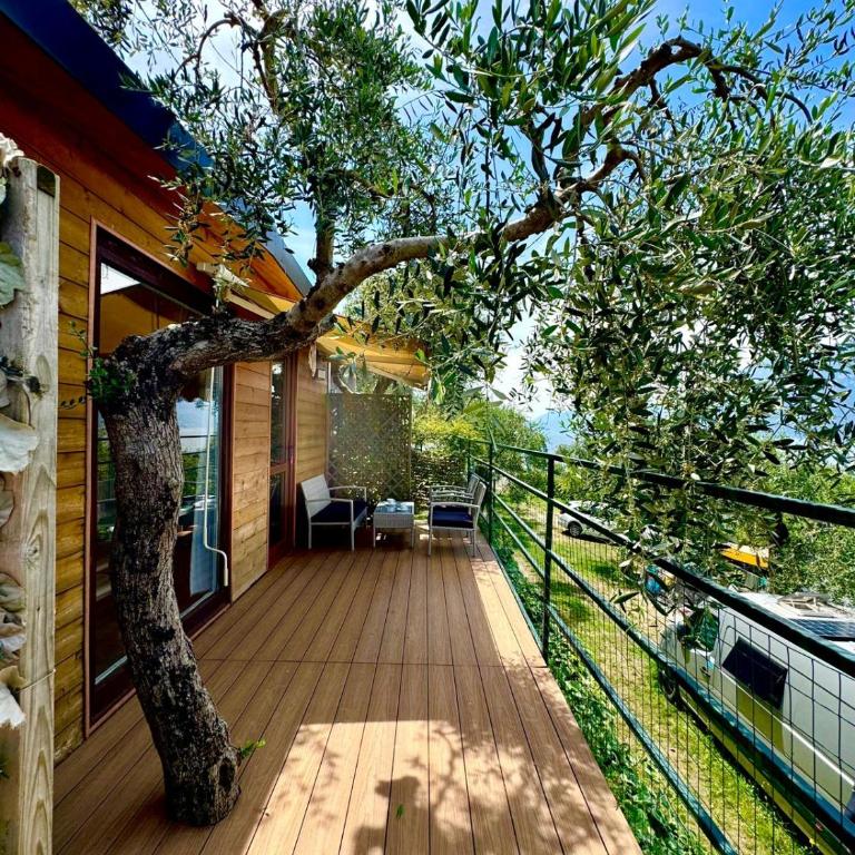 Monja Camping Village - Bungalow con 2 Camere da Letto - 6