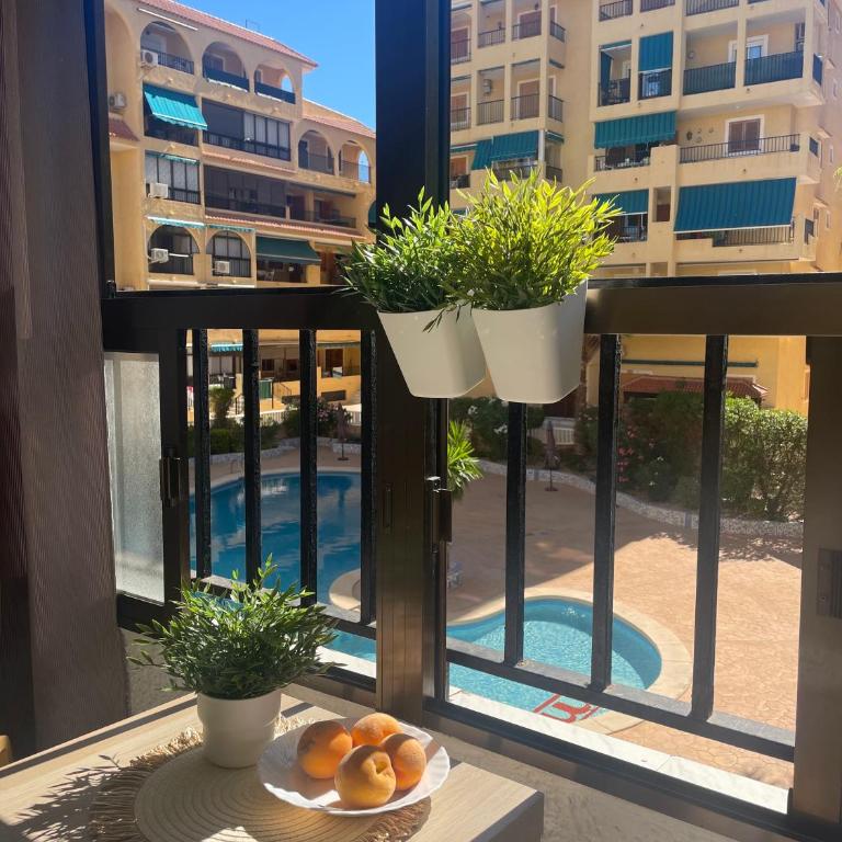 Apartament Studio, La Mata , Torrevieja, Viñamar 3 - Studio-Apartment - 1