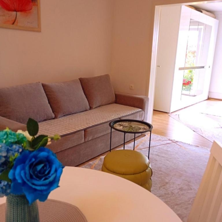 Sarah - One-Bedroom Apartment - 7