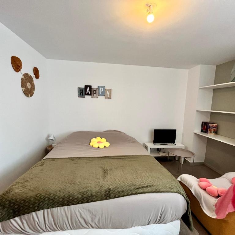 Le ptit chez soi by LPNL Studio confort RDC, Lit Queen, Arrivée autonome - Appartement 1 Chambre - 14