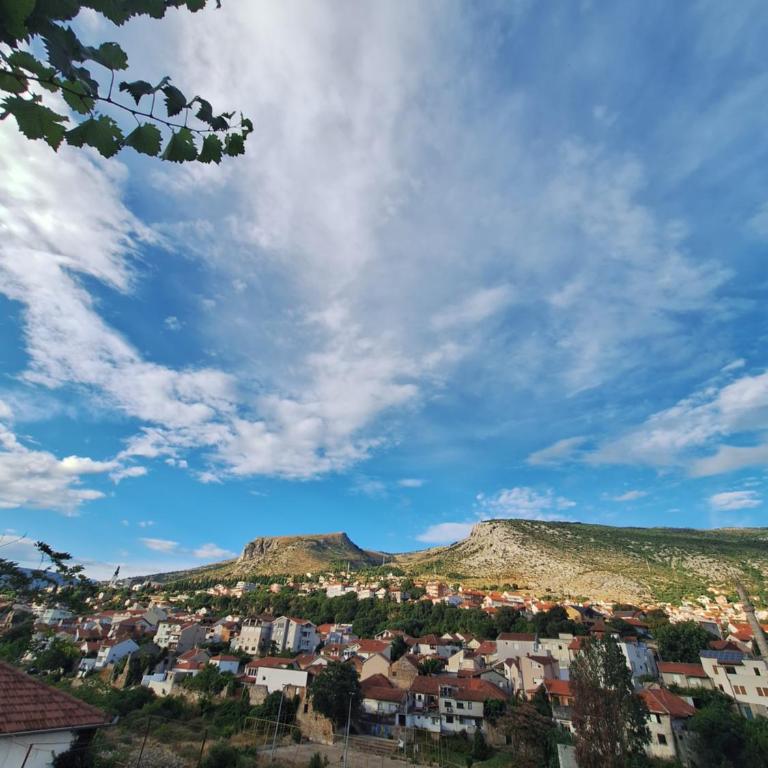 Apartment and Rooms Zed - One-Bedroom Apartment - 1