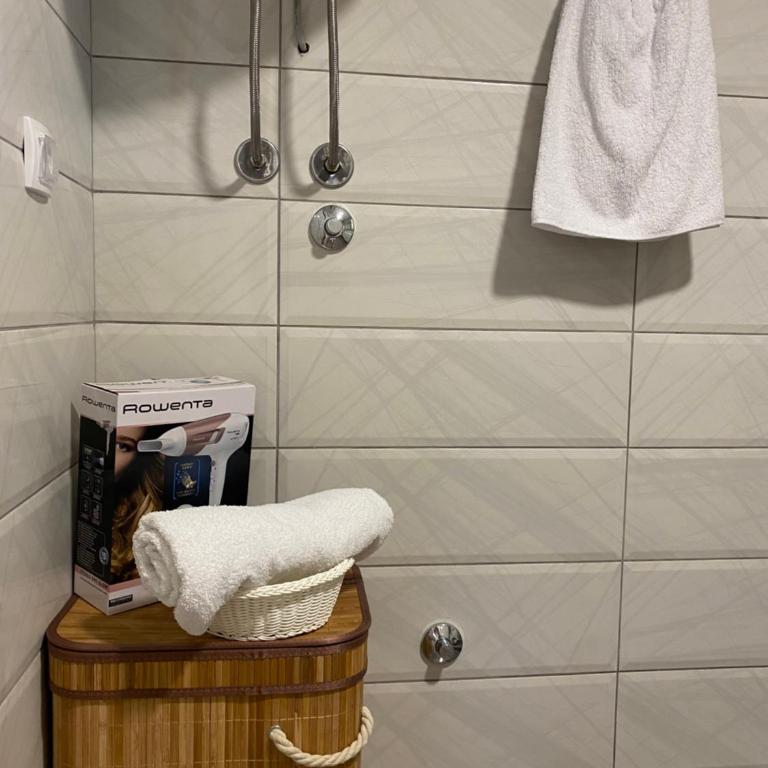 Apartman Sofiana - Apartman sa 1 Spavaćom Sobom - 54
