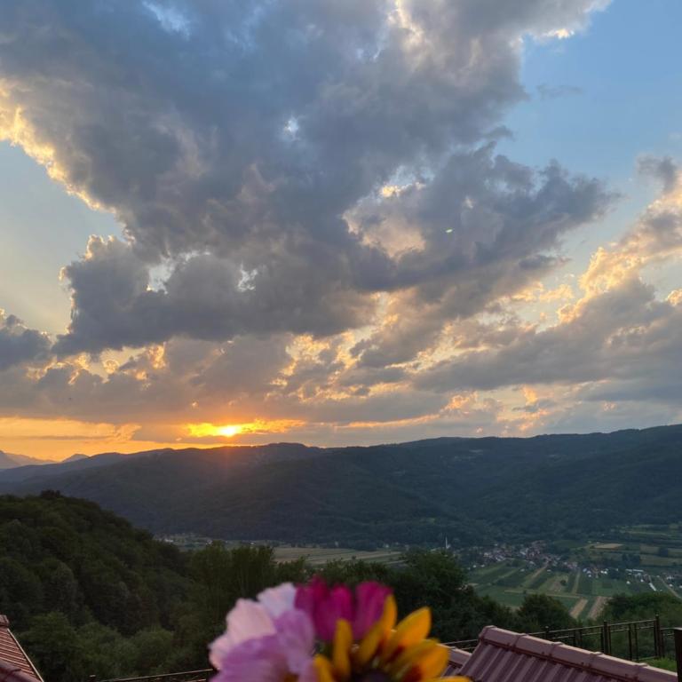 Apartman Sofiana - Apartman sa 1 Spavaćom Sobom - 59