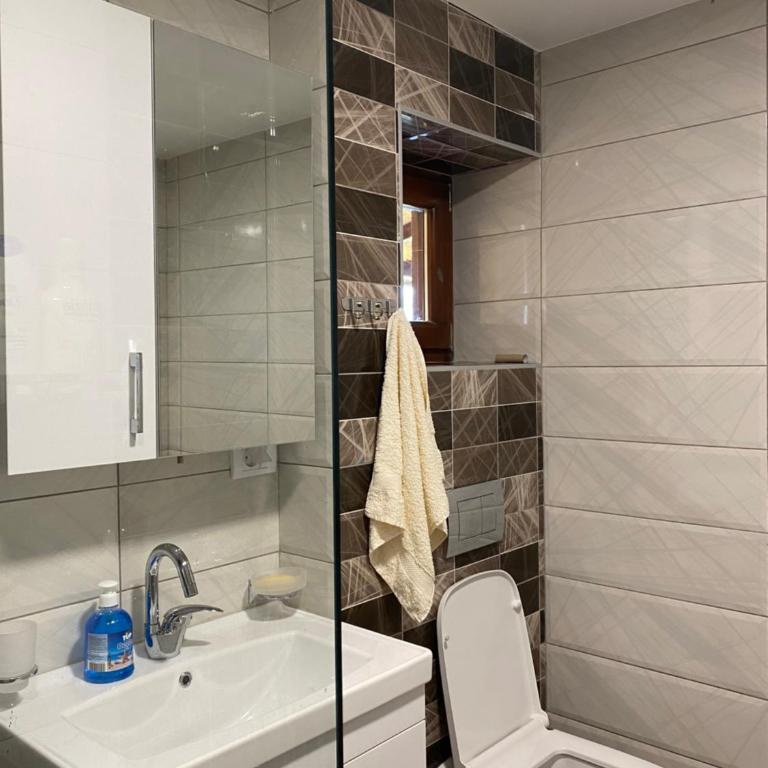 Apartman Sofiana - Apartman sa 1 Spavaćom Sobom - 52
