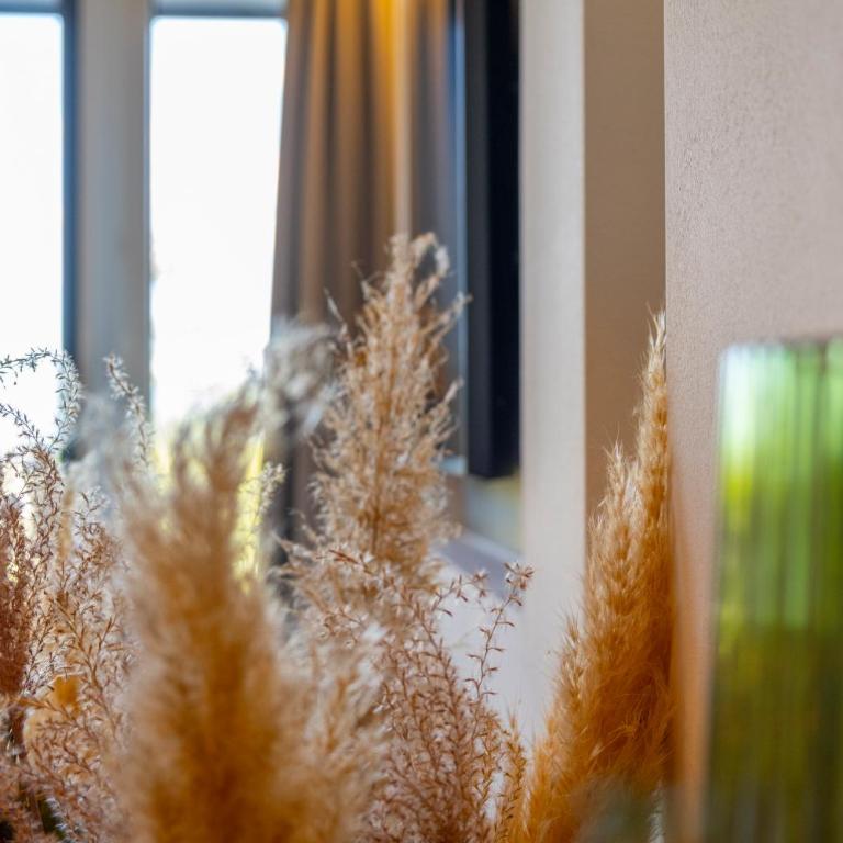 Suite Apartment modern getaway - Neu renoviert - Strobl am Wolfgangsee - Apartment mit 1 Schlafzimmer - 39