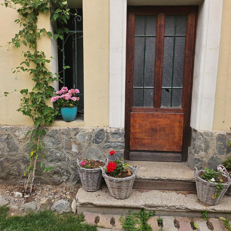 Au Cocon Alpin - Appartement 1 Chambre - 7