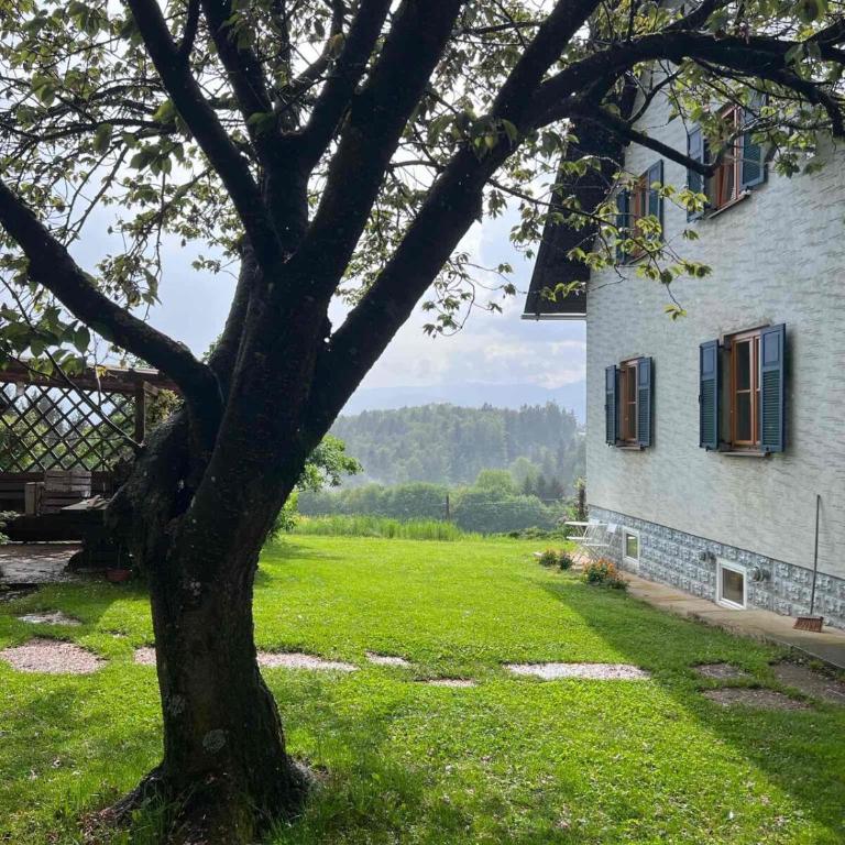 Ferienhaus Hefentrager Nähe Schilcherweinstraße - Haus mit 2 Schlafzimmern - 42