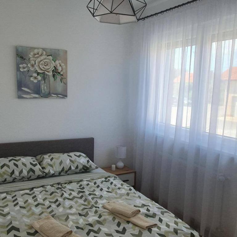 Apartman Lazić - Apartman sa 1 Spavaćom Sobom - 9