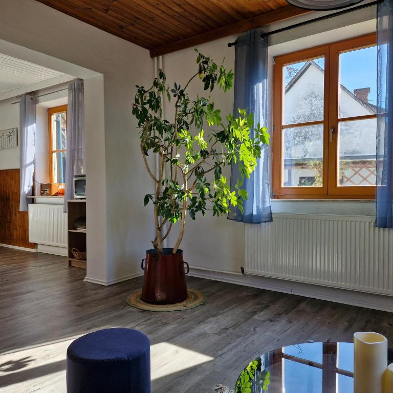 Ferienhaus Hefentrager Nähe Schilcherweinstraße - Haus mit 2 Schlafzimmern - 3