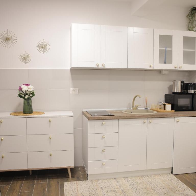 Adagio Apartmani - Apartman sa 1 Spavaćom Sobom i Pogledom - 7