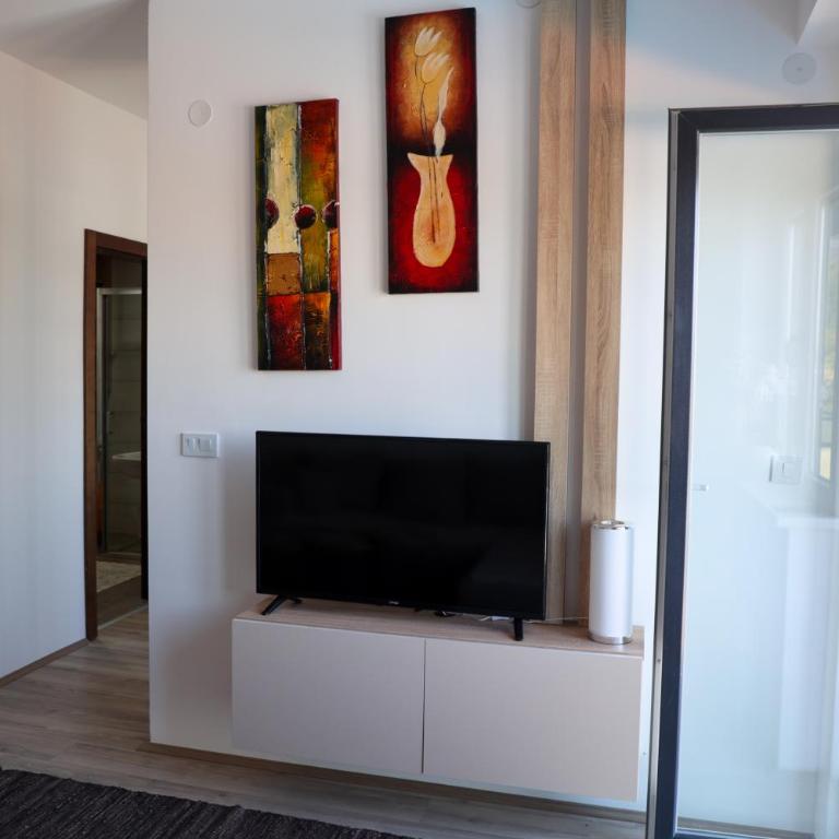 Vamos a la playa - Apartman sa 1 Spavaćom Sobom - 5