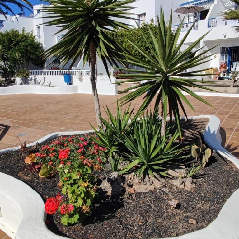 Apartamento Oasis Azul, vista oceano. - One-Bedroom Apartment - 21