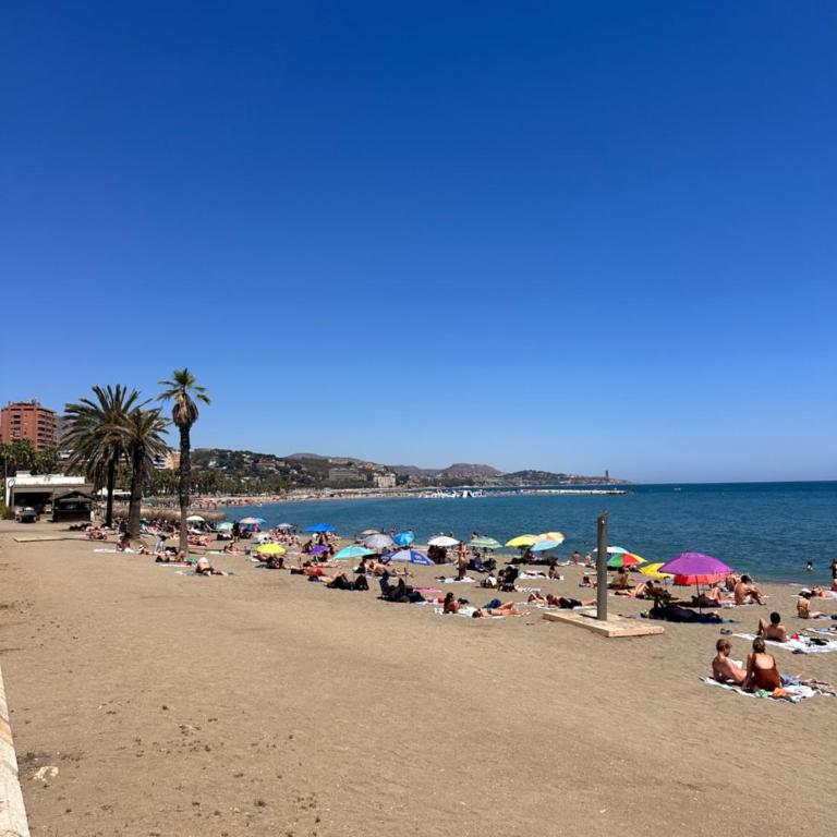 CM Málaga Soho - Apartamento de 2 dormitorios - 40