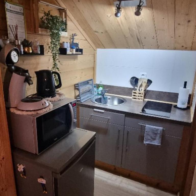 Studio type chalet - Appartement 1 Chambre - 6