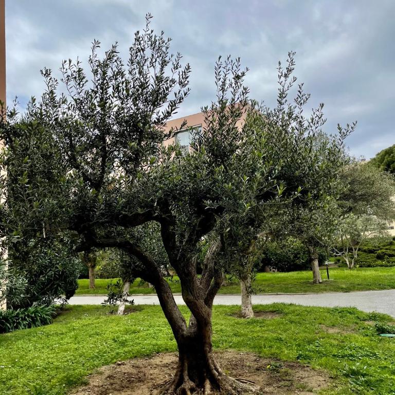 Appartement Saint Tropez - Appartement - 25