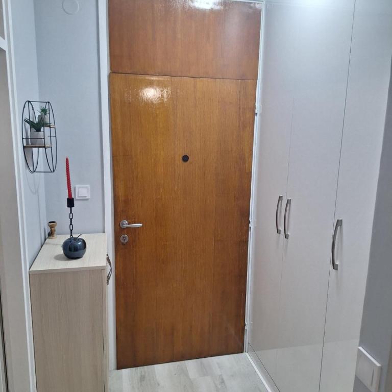 Center Apartment - One-Bedroom Apartment - 15