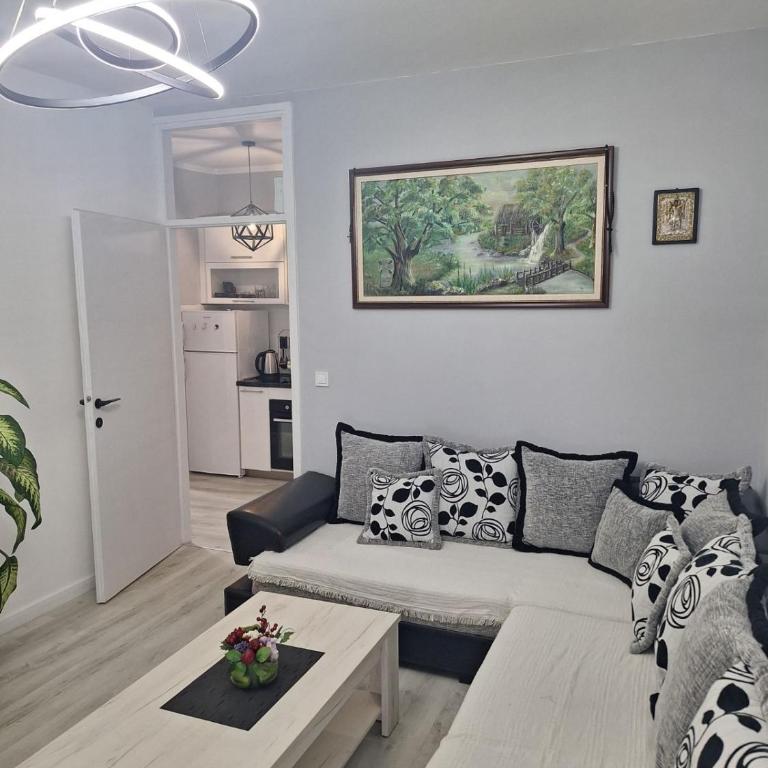 Center Apartment - Apartman sa 1 Spavaćom Sobom - 1