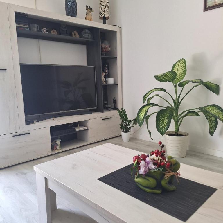 Center Apartment - Apartman sa 1 Spavaćom Sobom - 20
