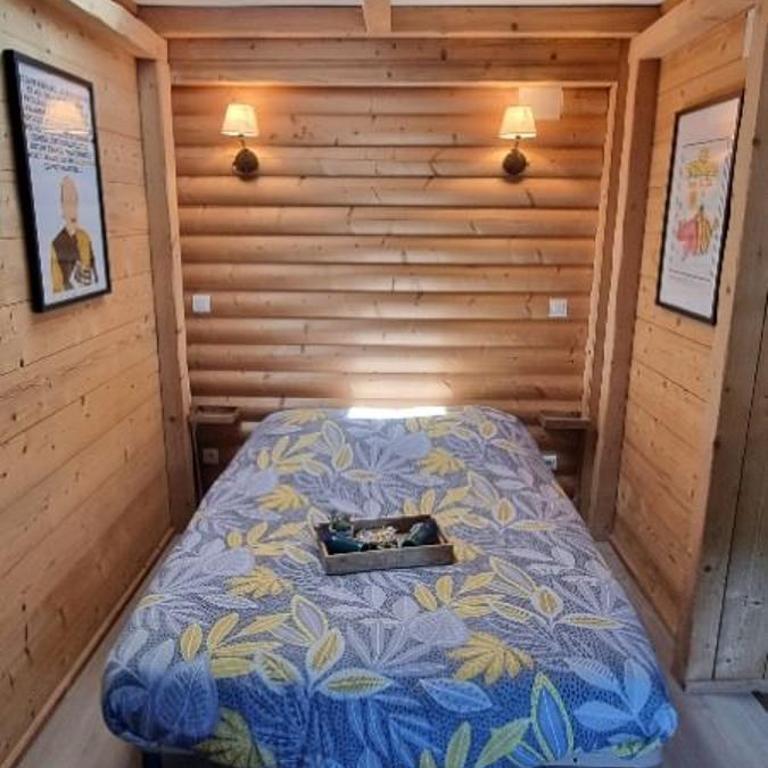 Studio type chalet - Appartement 1 Chambre - 9