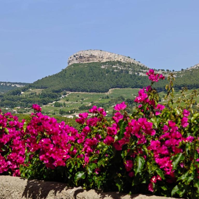 Charmant T2 à cassis - One-Bedroom Apartment - 30
