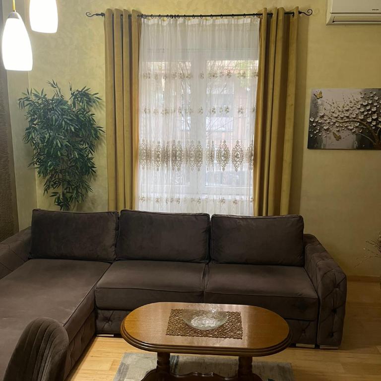 Dalmatinska Apartman - Apartman sa 1 Spavaćom Sobom - 4