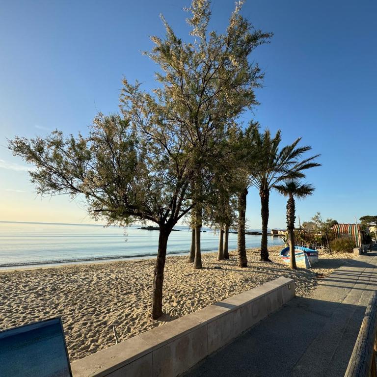 Studio terrasse vue mer - Estudio con vistas al mar - 6