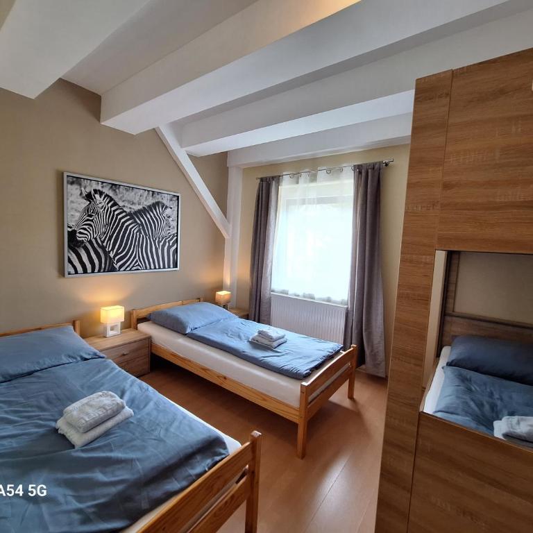 AlpenKlub Hotel - Quadruple Room with Private Bathroom - 5