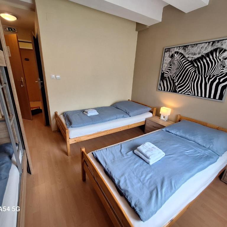 AlpenKlub Hotel - Quadruple Room with Private Bathroom - 6