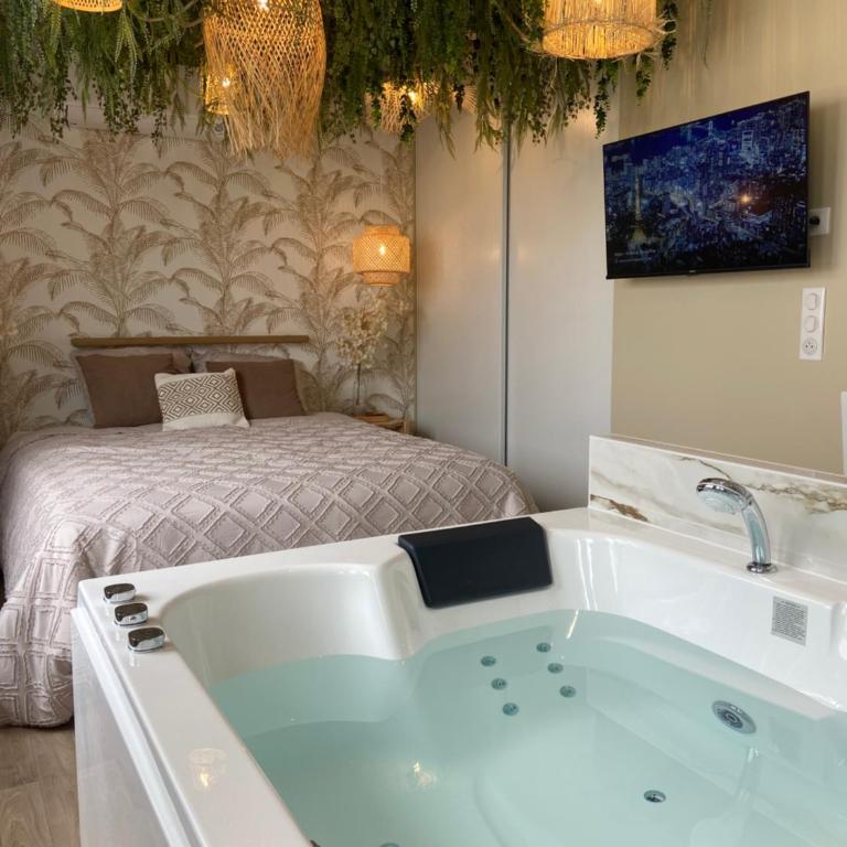 Le Cocon du désir - Suite romantique Balnéo - Appartement 1 Chambre - 1