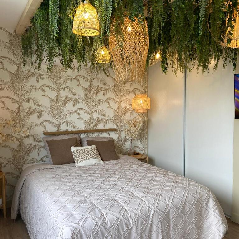 Le Cocon du désir - Suite romantique Balnéo - Appartement 1 Chambre - 13
