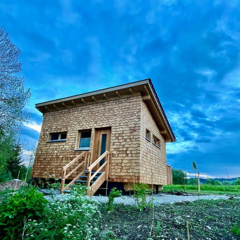Wald ist Zukunft - Baumhaus Biene - 5