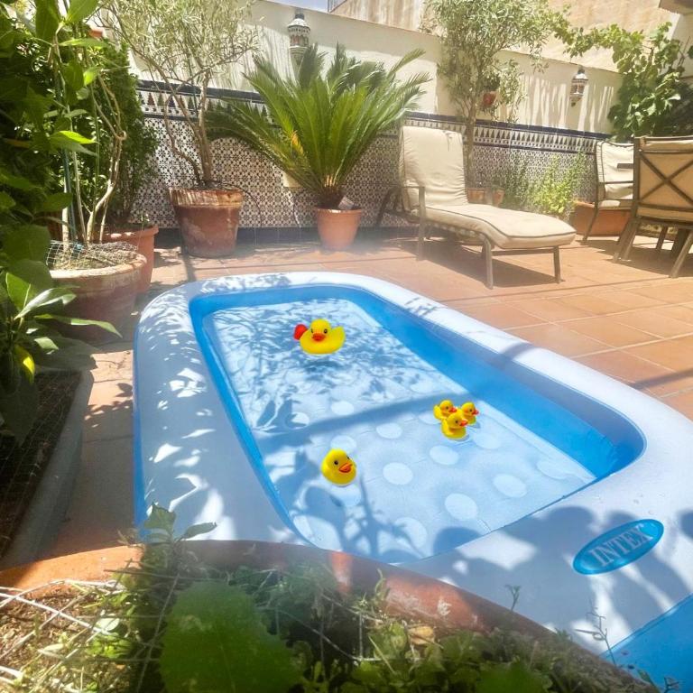 Maravilloso apartamento céntrico de 70m2, jardín propio 40m2 con piscina para niños y parking opcional - Apartamento de 1 dormitorio - 22