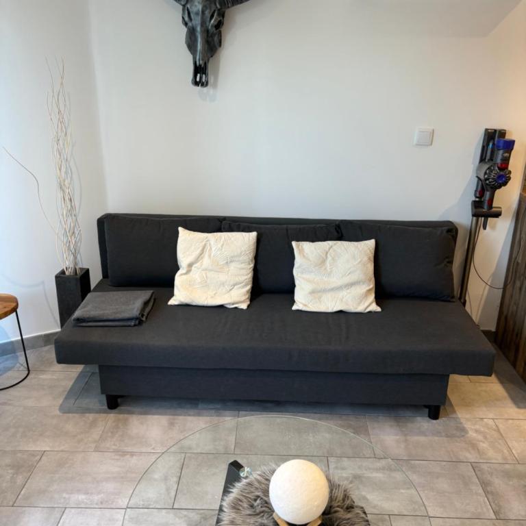 Vue lac et terrasse superbe Appartement cosy 4 pers - One-Bedroom Apartment - 5