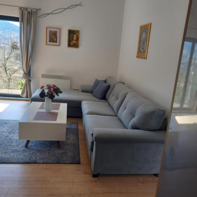 Sarajevo Hills-POOL&JACUZZI private garden Home-Near Old Town - One-Bedroom Apartment - 54