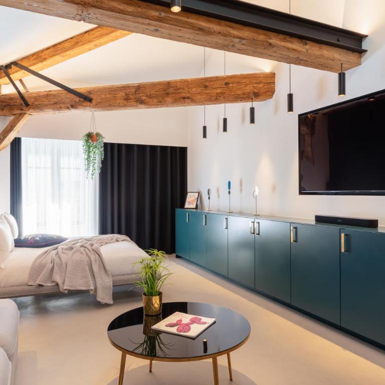 MOHOM - Berges du Rhône - Mini-Loft Green Place - 10