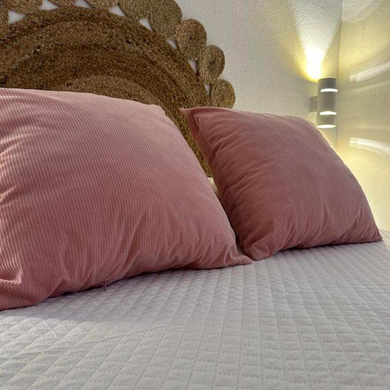 Apartamento Entre dos mares - Apartamento de 1 dormitorio - 3