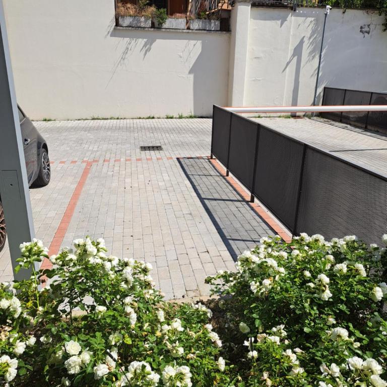 White Roses- free park Mazzini Sant'orsola - Appartamento con 1 Camera da Letto - 22