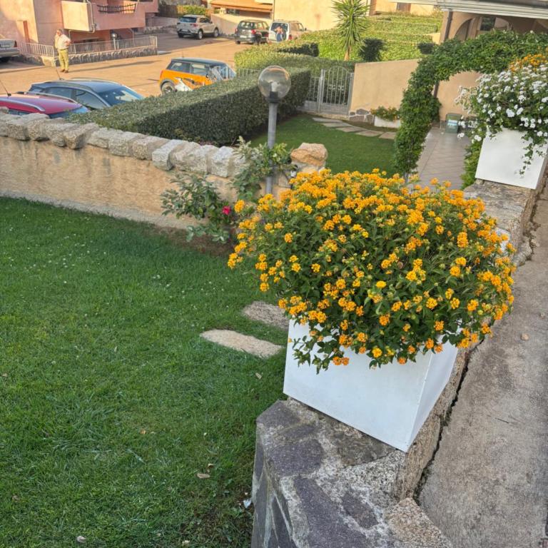 Pregevole trilocale Palau con giardino privato a 250 mt dalla spiaggia - Appartamento con 2 Camere da Letto - 8