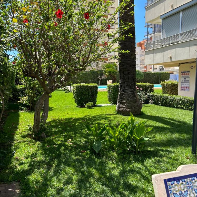 Apartamento Gandia Playa 150m playa con parking privado y piscina - Apartamento de 2 dormitorios - 20