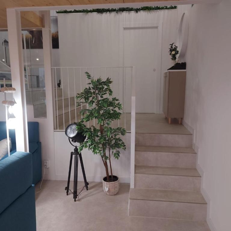 Marhaba Cozy Home - Apartamento Deluxe - 12
