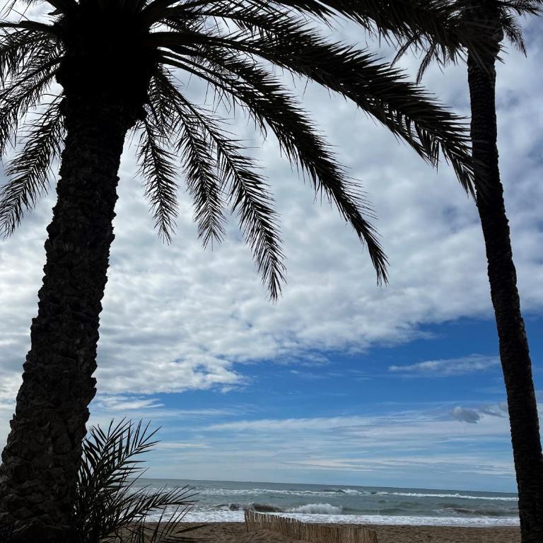 Acogedor y Amplio Apartamento familiar a pie de playa - Three-Bedroom Apartment (shared with host) - 37