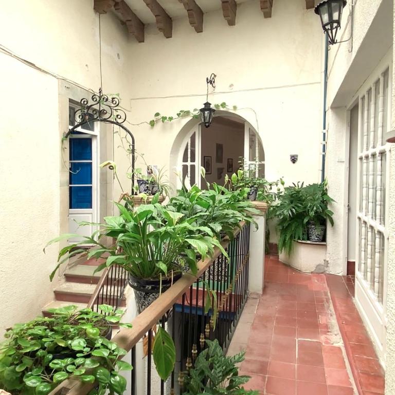 Casa Alonso53 - Five-Bedroom House - 7