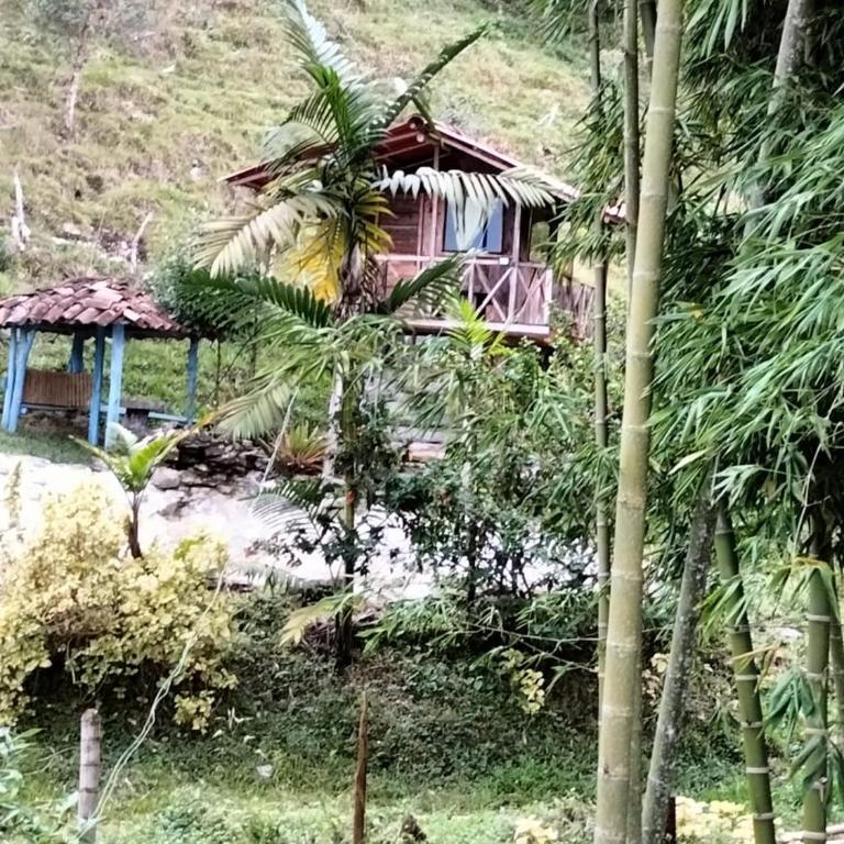 Sierra de viboral adventures - Double Room with Private Bathroom - 4