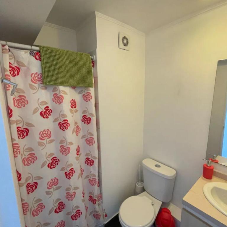 Lindo Departamento Santiago - Two-Bedroom Apartment - 2