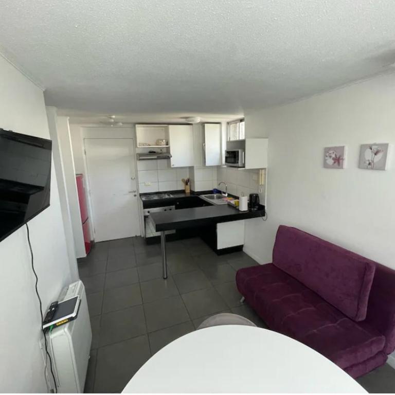Lindo Departamento Santiago - Two-Bedroom Apartment - 10