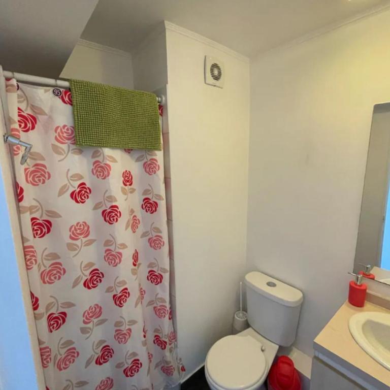 Lindo Departamento Santiago - Two-Bedroom Apartment - 12
