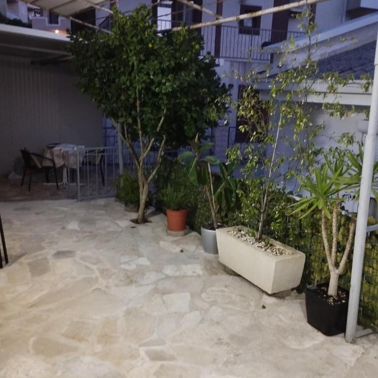 Milica Soba 1 - One-Bedroom Apartment - 8