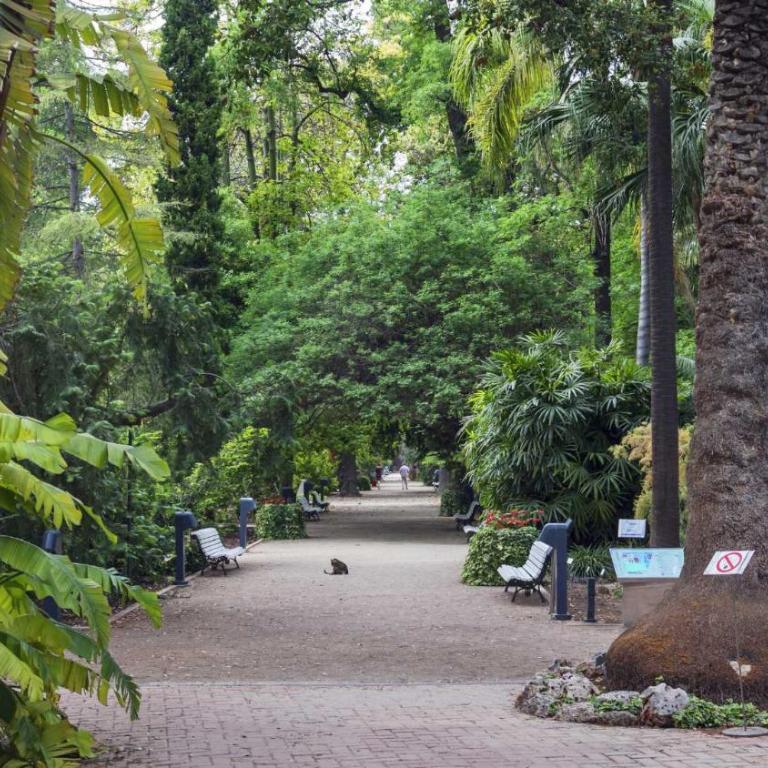 Luxotica Gardens Valencia - Apartamento de 2 dormitorios - 18