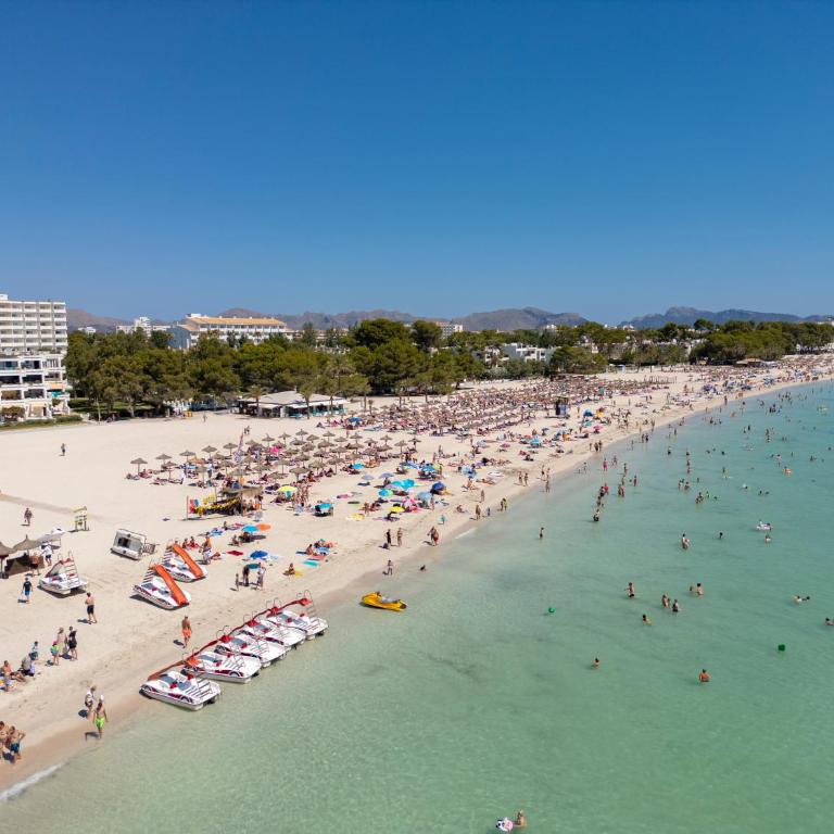 M411 Massanet by Mallorca Villa Selection - Chalet Superior - 10
